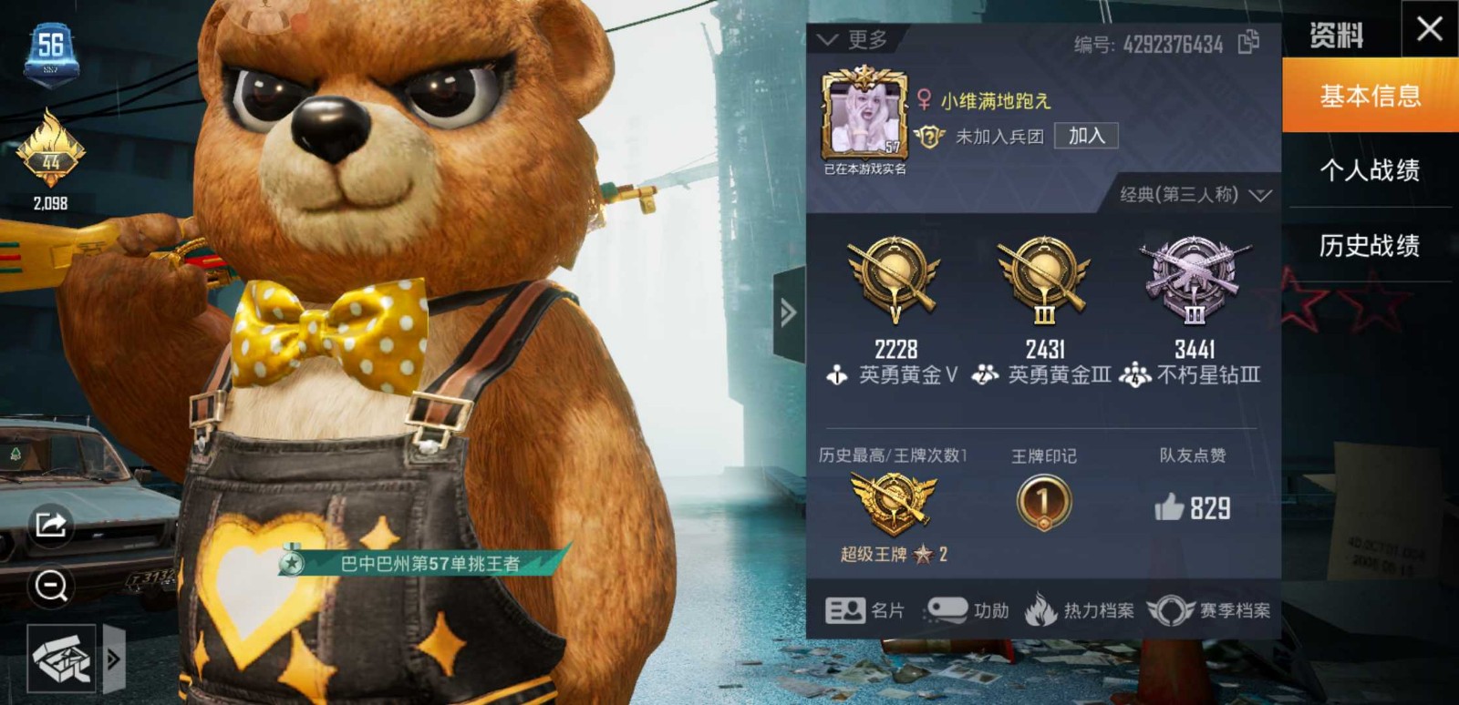 ◣王牌进场特效◢54套皮浪漫波比君王98k火箭98k白熊海豚黄金ak多背包
