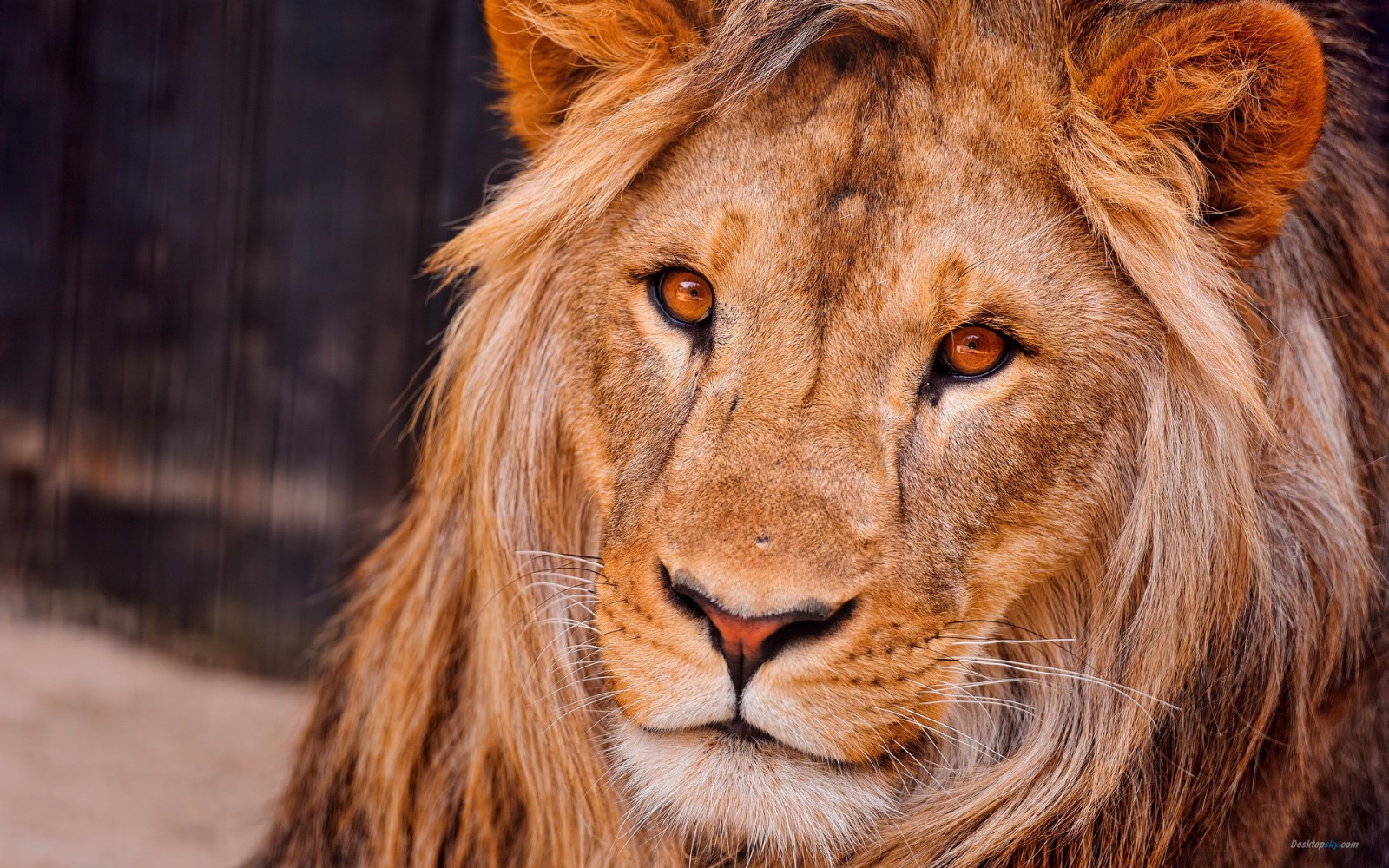 【哒哒网游加速器】测试测试测试