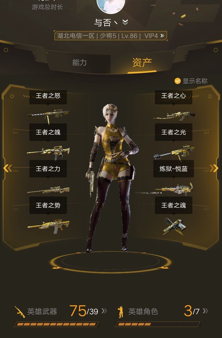 3元/小时-vip4 75英雄武器10王者武器王者之力 王者之怒 王者之光