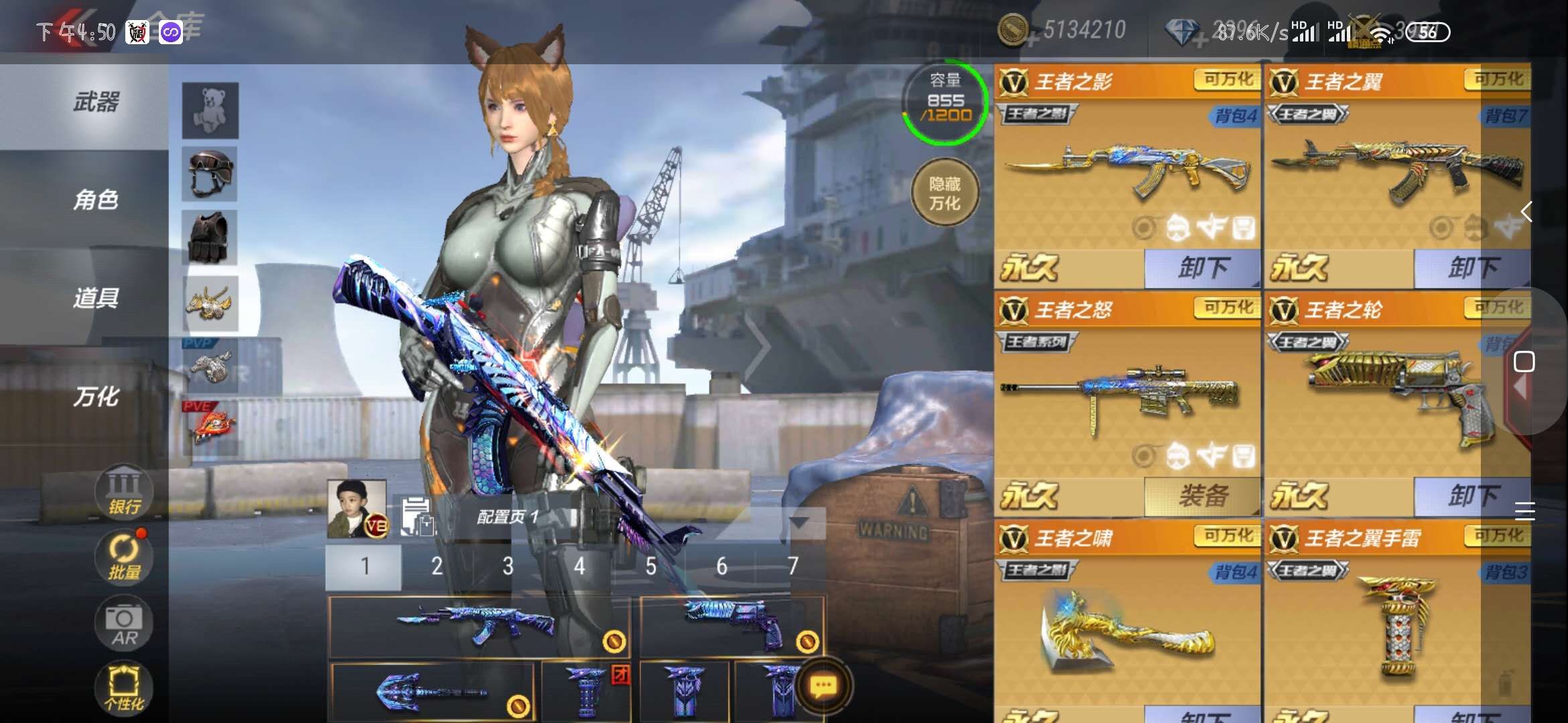 3元/小时-v8·100v·王影·王翼·王怒·王啸·星象套·黑武士觉醒con